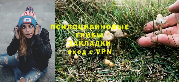 альфа пвп Ладушкин