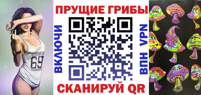 закладка Александровск-Сахалинский Псилоцибиновые грибы ЛСД